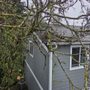 Pro Cut Tree Service