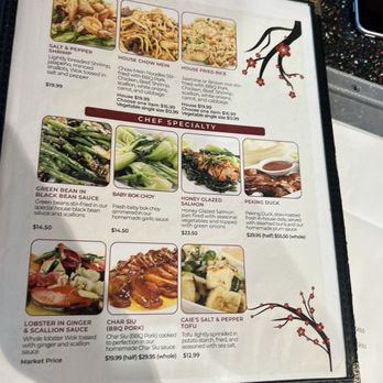 CaiE Oriental Asian Bistro - Dim Sum Near Me - Sparks, Nevada