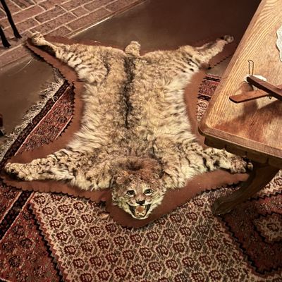 Arizona History Museum by null