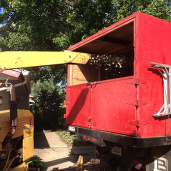 Arbor Care Tree Solutions - untitled - Tree Services Near Me - Denver, Colorado