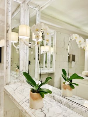 The Ritz-Carlton, Laguna Niguel by null