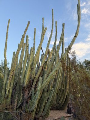 Papago Park by null