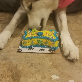 PJ's Pet Cafe - She loved it! Thank you so much! - Pet Stores Near Me - Long Beach, California PJ's Pet Cafe - She loved it! Thank you so much! - Pet Stores Near Me - Long Beach, California