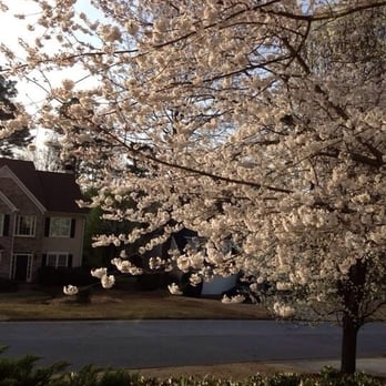 Robert W Hendricksen Tree Care - Enjoy the outdoors. - Tree Services Near Me - Wheeling, Illinois Robert W Hendricksen Tree Care - Enjoy the outdoors. - Tree Services Near Me - Wheeling, Illinois