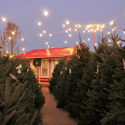 Trosa Christmas Tree Lot 11 Photos Reviews
