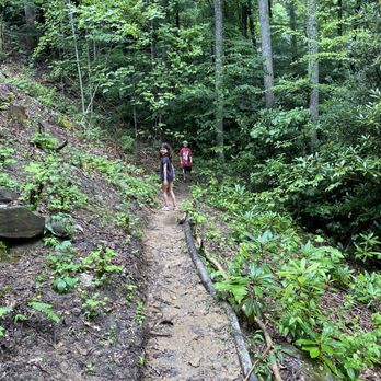 Greybeard Rentals - hiking down below. - Vacation Rental Agents Near Me - Black Mountain, North Carolina