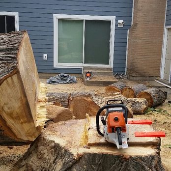 Big Leaf Industries - Tree Services Near Me