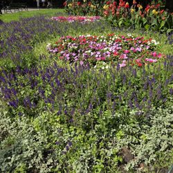 Planty - Flowers in Planty Park