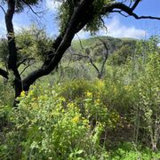 Photo of Escondido Canyon Park - Malibu, CA, United States