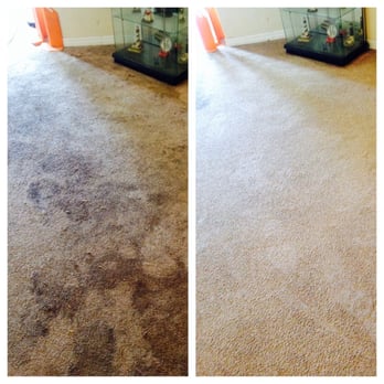 Team Green Carpet Cleaning - Home Cleaning Near Me - Brandon, Florida Team Green Carpet Cleaning - Home Cleaning Near Me - Brandon, Florida