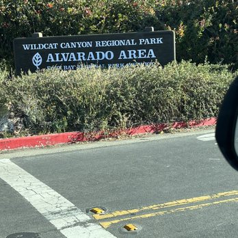 Wildcat Canyon Regional Park - We never walk alone - Parks Near Me - Richmond, California Wildcat Canyon Regional Park - We never walk alone - Parks Near Me - Richmond, California