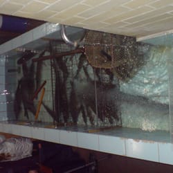 Fisch Burkhard