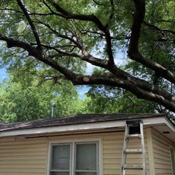 Affordable Tree Service