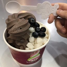 a cup of ice cream with chocolate and blueberries a cup of ice cream with chocolate and blueberries