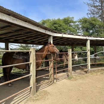 C & M Stables - The ranch. - Horseback Riding Near Me - Florence, Oregon