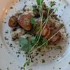 13 Oak gift card