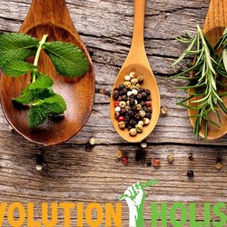 Revolution Holistic