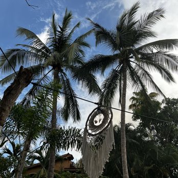 Chaman Creative Kitchen - Palm trees and dreamcatcher - Bars Near Me - Sayulita, NAY