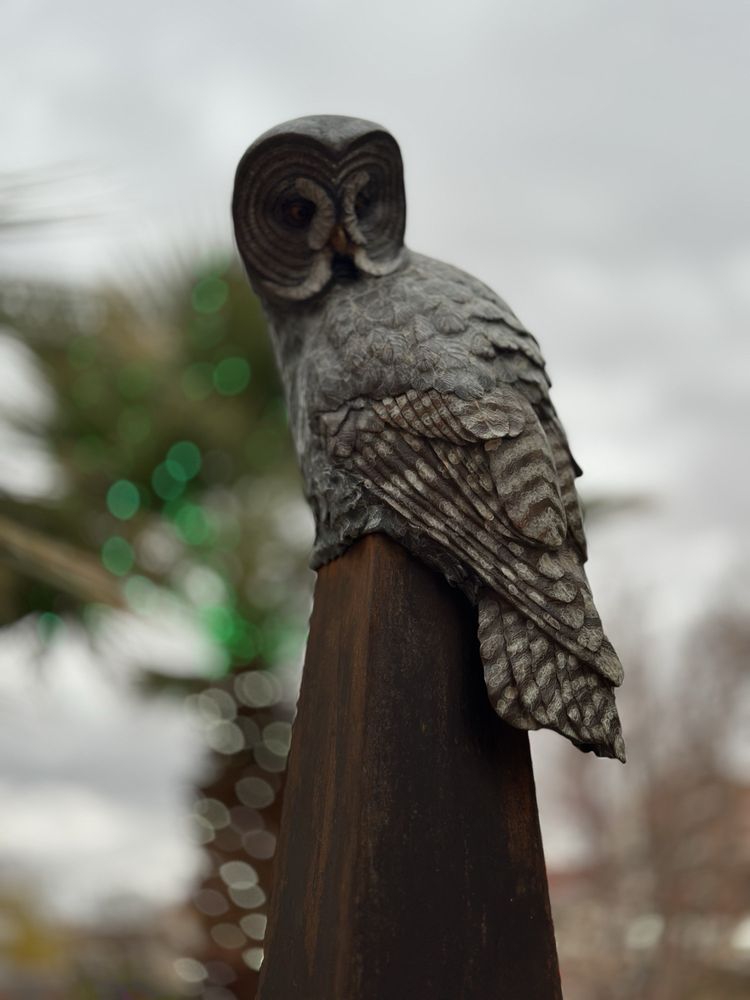 Social spots from Saint George Town Square