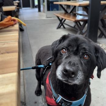Crooked Goat Brewing - Brewpubs Near Me - Sebastopol, California Crooked Goat Brewing - Brewpubs Near Me - Sebastopol, California
