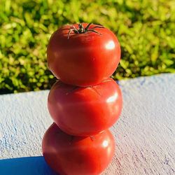 Brownwood Farmers Market - Tomato-topia!!!