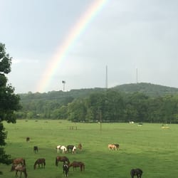 Greenridge Stables