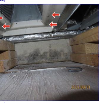 Conrex Property Management - Under the HVAC unit in the laundry room - Property Management Near Me - Charleston, South Carolina Conrex Property Management - Under the HVAC unit in the laundry room - Property Management Near Me - Charleston, South Carolina