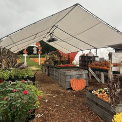Potomac Farm Market