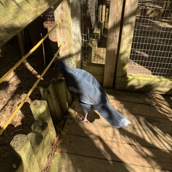 Ellen Trout Zoo - Zoos Near Me - Lufkin, Texas