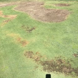 Dry Creek Ranch Golf Club - Greens