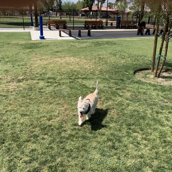 Panorama Park - Kids Activities Near Me - Cathedral City, California Panorama Park - Kids Activities Near Me - Cathedral City, California
