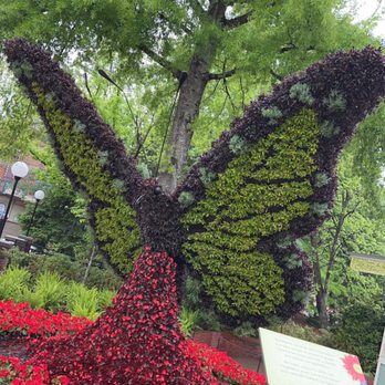 Dollywood's DreamMore Resort - Butterfly exhibit - Resorts Near Me - Pigeon Forge, Tennessee Dollywood's DreamMore Resort - Butterfly exhibit - Resorts Near Me - Pigeon Forge, Tennessee