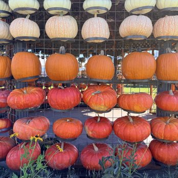 Topaz Farm - Pumpkin house - Farmers Market Near Me - Portland, Oregon