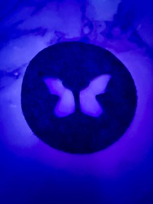 The Monarch Bar by null