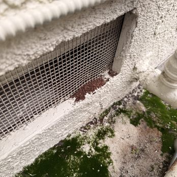 Bug Baron Exterminator - termite activity on the vent - Pest Control Near Me