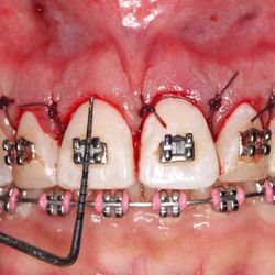 Dental Specialist