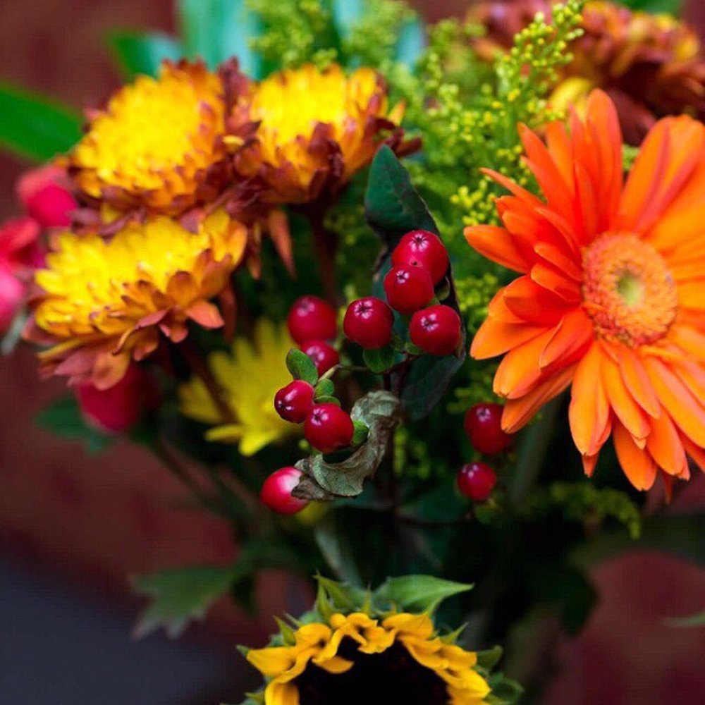 Fifty Flowers - Floral Designers Near Me Fifty Flowers - Floral Designers Near Me