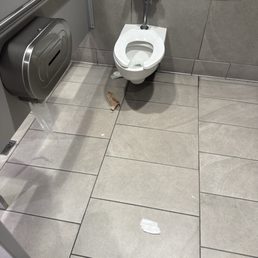 bathroom bathroom