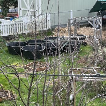 Affordable Ponds - Landscaping Near Me Affordable Ponds - Landscaping Near Me