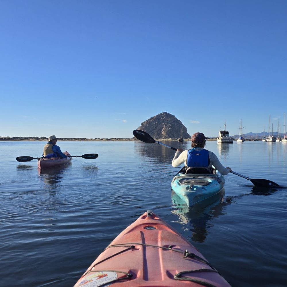 Central Coast Outdoors - Kayaking on Morro Bay, Morro Rock in the distance. - Tours Near Me - Morro Bay, California