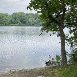 Sand Pond