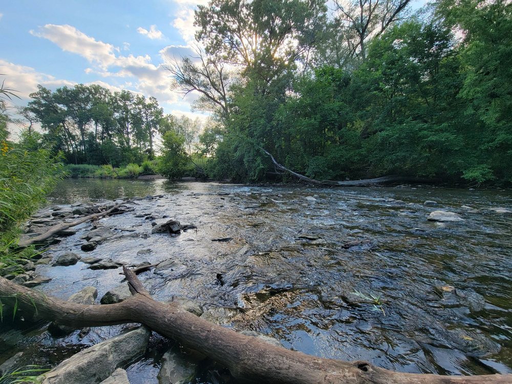 HOYT PARK Updated September 2024 12 Photos 1800 N Swan Blvd