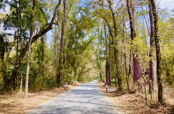 Cannon's Point Preserve by null