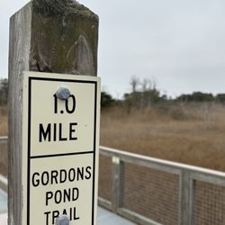 Cape Henlopen State Park - 1.0 mile marker