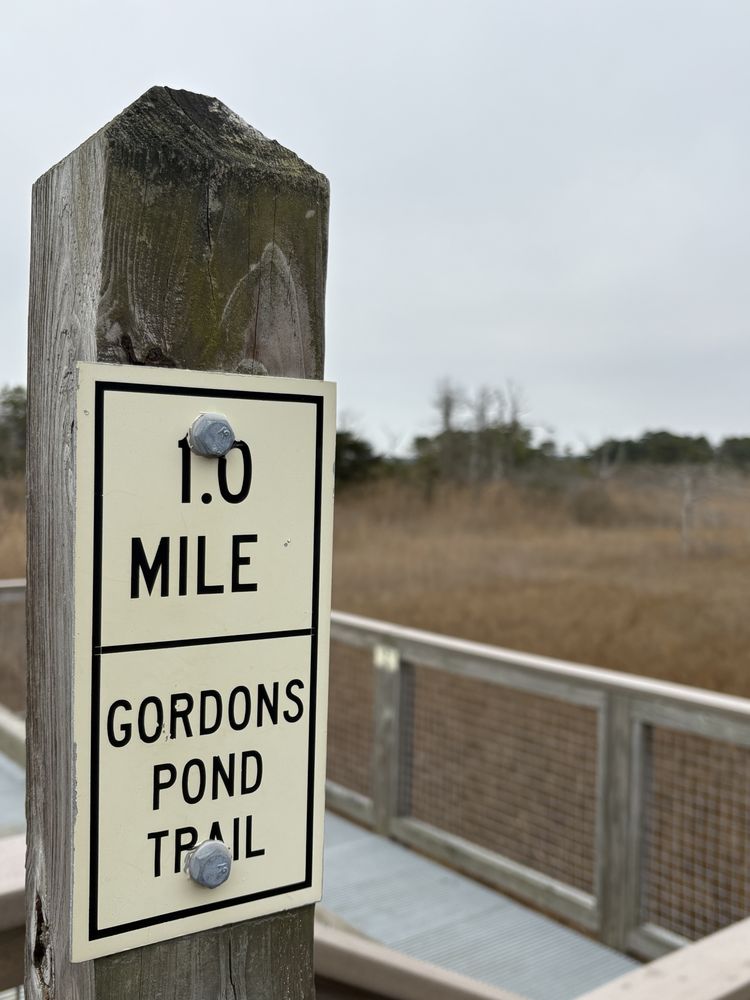 Cape Henlopen State Park Image