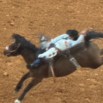 San Antonio Livestock Exposition - Races & Competitions Near Me - San Antonio, Texas San Antonio Livestock Exposition - Races & Competitions Near Me - San Antonio, Texas