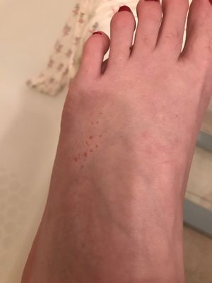 AJ Cove Nails & Spa by null