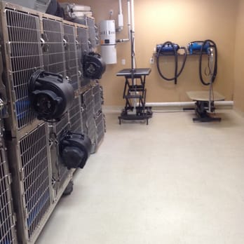 ZPup Dog Spa - Drying room - Pet Groomers Near Me - Cumberland, Rhode Island ZPup Dog Spa - Drying room - Pet Groomers Near Me - Cumberland, Rhode Island