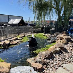 Dickson Brothers - Such a beautiful water feature