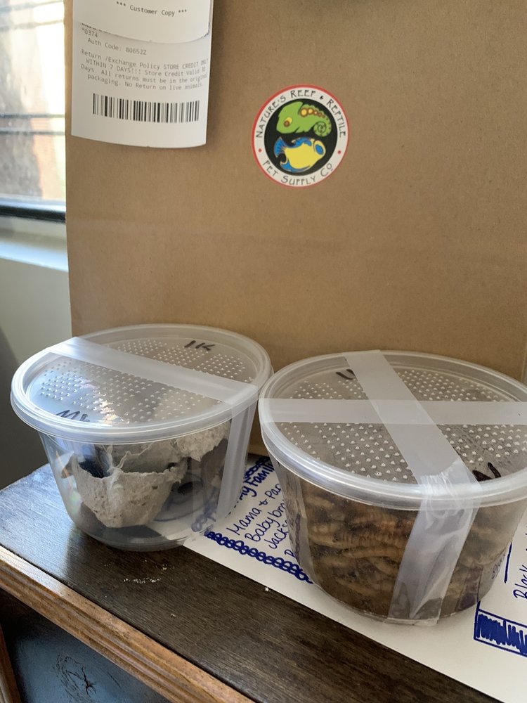 NATURE’S REEF & REPTILE Updated October 2024 52 Photos & 29 Reviews 12411 Jamaica Ave